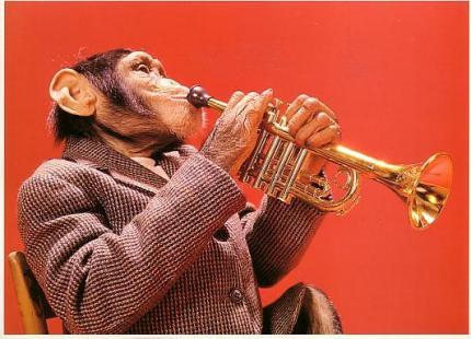 singe joue de la trompette